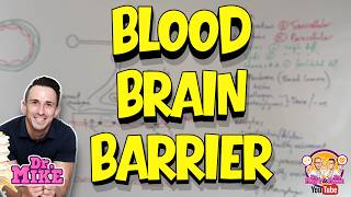 Blood Brain Barrier