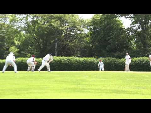 Penzance vs. Penzance Golowan Cricket Game