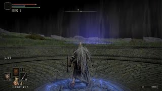 ELDEN RING_Giant Knight