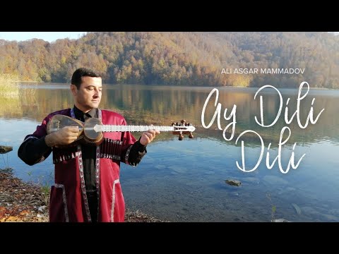 Ali Asgar Mammadov — Ay Dili Dili