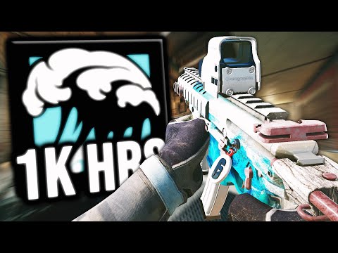 What 1,000 Hours of Tubarao Looks Like