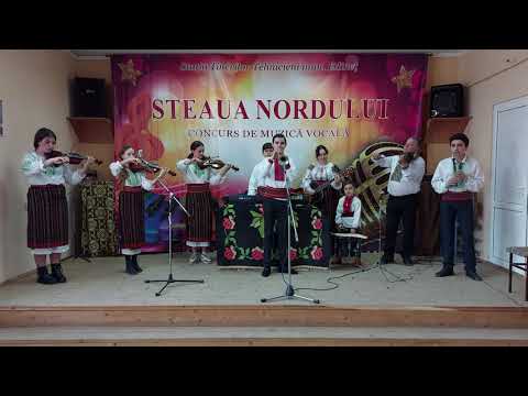 Tinei Vasile - Hora de la nord (Cover "Orchestra Lăutarii")