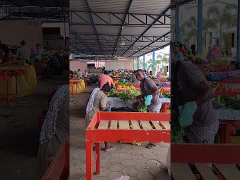 FEIRA DE SANTA INÊS BAHIA #shorts #feira #santainês #bahia #entretenimento #frutas #verduras