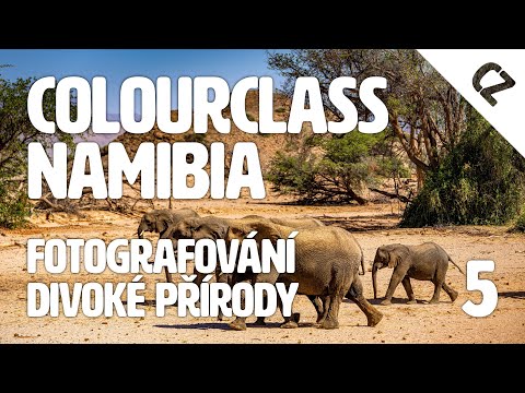 Colourclass Namibia: Část 5. – Nejdůležitější tipy pro fotografování divoké přírody