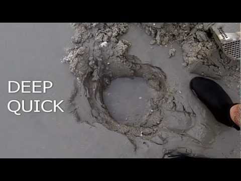 T-Rex Beach Scoop Tested By Metaldetecting.com - DeMarco Detector Sales