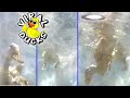 Baby Ducks GoPro Underwater Dive Camera P2