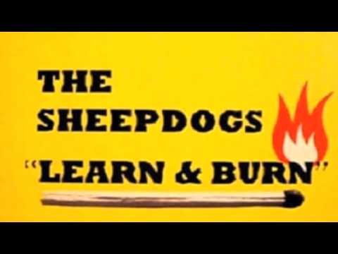 The Sheepdogs - Rollo Tomasi