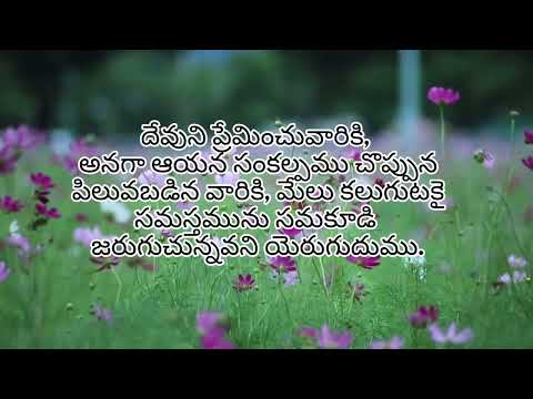 Romans 08:28 | Daily Bible Verse | Word Of God | #We_For_Christ