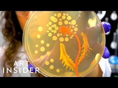 大腸桿菌可以拿來作畫！？而且還真的美美的！ (Germ Art Is Helping Change The Way We Think About Bacteria)