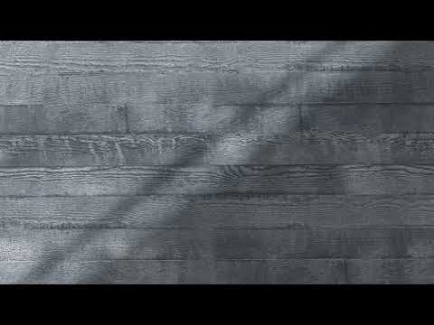 Video thumbnail for Monochrome