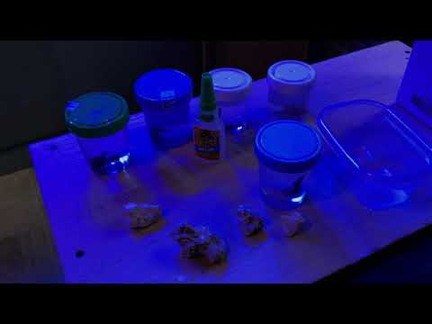 200 gallon JEBAO reef tank update