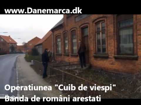 Operatiunea "Cuib de viespi" în Danemarca. Banda de români, 23 persoane, arestati