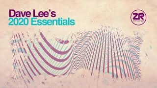 Joey Negro, The Sunburst Band &amp; Dave Lee - Everyday (JN Disco Re-Bump Remix)