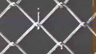 Molodoï - La complainte des ouvriers