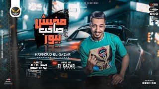 كلمات اغنية مهرجان مفيش صاحب محمود الجزار