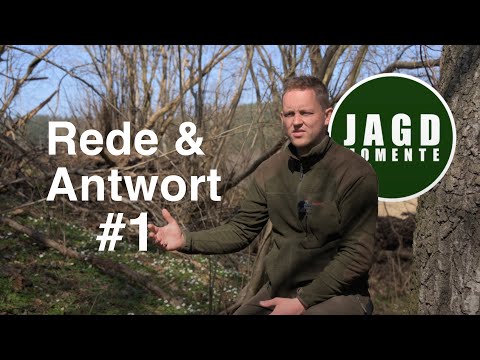 Q&A | Felix steht Rede und Antwort | #1