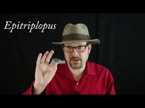Epitriplopus - A tiny fossil rhino (Mar. 2018 Monthly Fossil)