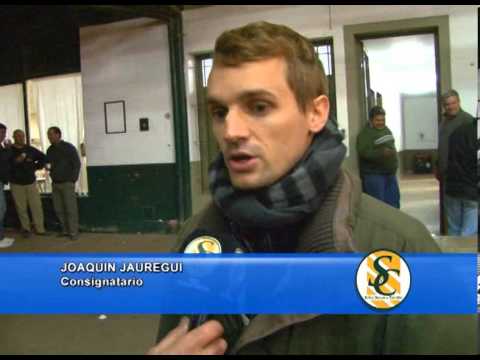 JOAQUIN JAUREGUI - JAUREGUI LORDA