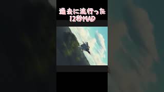 過去に流行った12秒MAD