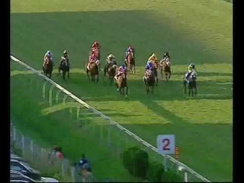 Pocket Power | Gold Challenge