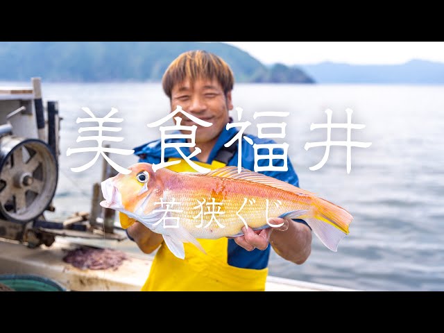 【美食福井】若狭ぐじ | プロモーション動画