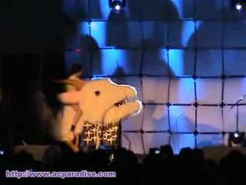 Anime Central 2008 - #16 Haku