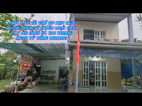 MS :1335 Căn nhà lầu vườn đủ loại trái cây.Thổ cư 50m2 tặng ao nuôi cá chỉ 1.650 tỷ.