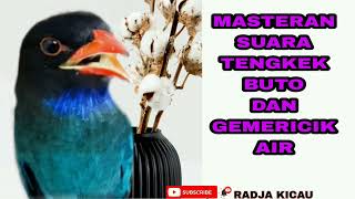 Download lagu MASTERAN TENGKEK BUTO SUARA JERNIH DENGAN GEMERICIK AIR || 😇 mp3