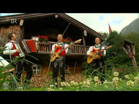 Die Jungen Zillertaler - Dem Land Tirol die Treue