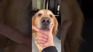 Download lagu 7 May 2024 mp3