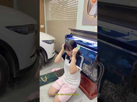 Ai đặt sách Sticker #simnangvlog