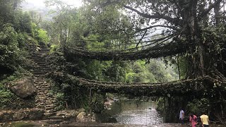 preview picture of video 'Trek To Double Decker Living Root Bridge | Cherrapunjee | Meghalaya | NorthEast India Trip | #1'