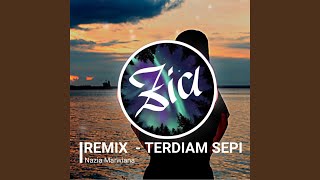 Download lagu Terdiam Sepi (Remix) mp3