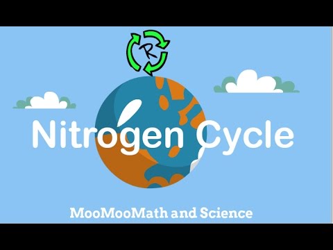 What process returns nitrogen to the atmosphere?