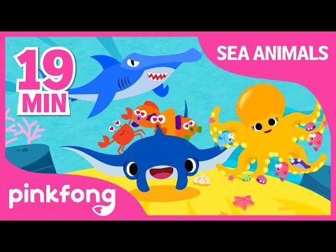 Super Duper Manta Ray and more | Sea Animal Songs | +Compilation | Pinkfong Songs for Children