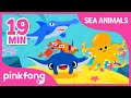 Super Duper Manta Ray and more | Sea Animal Songs | +Compilation | Pinkfong Songs for Children