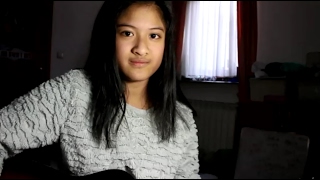 Stupid boy - Taylor Swift (cover) | Dina Anuar