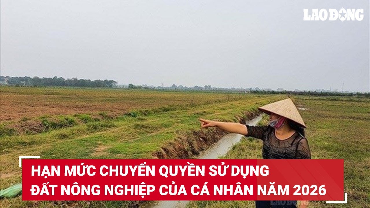 Hạn mức chuyển quyền sử dụng đất nông nghiệp của cá nhân năm 2026