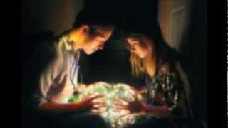 Savoir Adore - Bodies