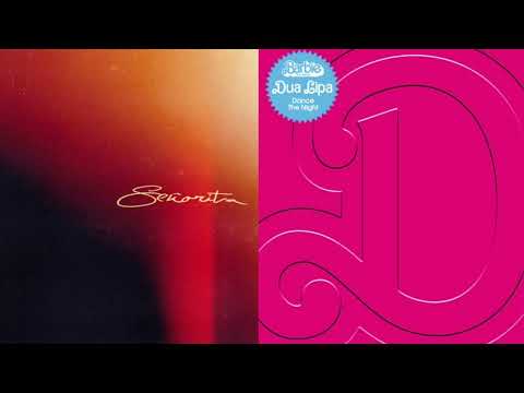 Dance Señorita (Dua Lipa, Shawn Mendes and Camila Cabello Mashup)