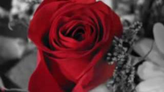 NO TE DEMORES DE ALBERTO PLAZA