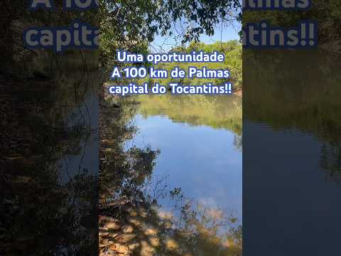 Fazenda a venda em Pugmil TO com Rio que não seca #fazenda#oportunidade#rio