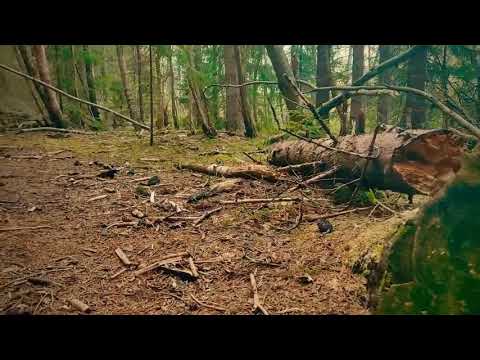 Aikionlahti ja varjakka oulunsalossa retkiopas 2