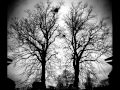 Draconian - Morphine Cloud (with Lyrics)
