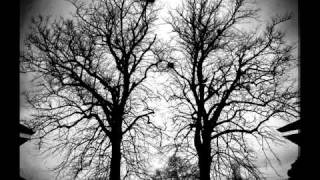 Draconian - Morphine Cloud (with Lyrics)