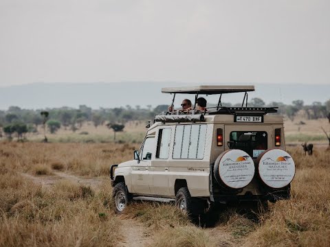 Wildlife Safaris & Kilimanjaro Services 