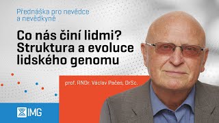 Co nás činí lidmi? Struktura a evoluce lidského genomu - Přednáška pro nevědce a nevědkyně
