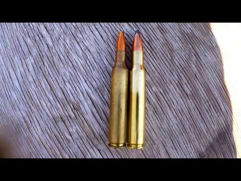 25 06 vs 30 06 vs Brick