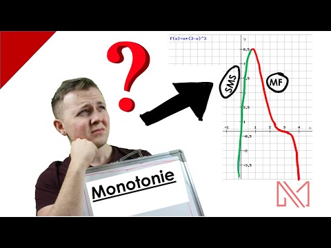 Monotonieverhalten erkennen | ✌️Analysis ganz einfach erklärt 🤝 | Dein Mathe Abitur