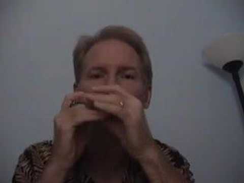 Blues Harmonica Secrets Revealed (Gussow.002)